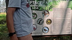 Tenhle pt&aacute_k je teda fe&scaron_&aacute_k a jak&eacute_ m&aacute_ sympatick&eacute_ jm&eacute_no - &scaron_oup&aacute_lek. Jeden pt&aacute_k zde ale chyb&iacute_. Jak se u v&aacute_s naz&yacute_v&aacute_ penis? Thumb