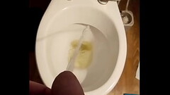 An evening pee Thumb