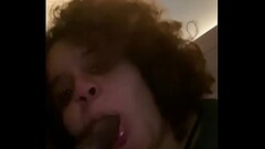 Latina Swallows BBC Preview Thumb