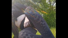 Na łące Thumb