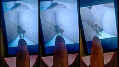Tributo Casal gaucha1 Thumb
